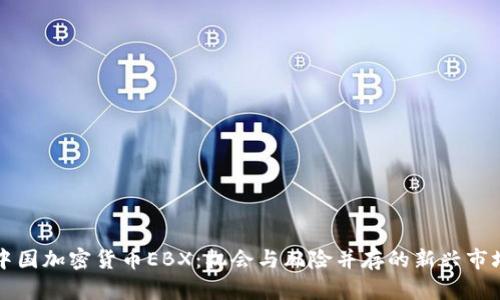 中国加密货币EBX：机会与风险并存的新兴市场