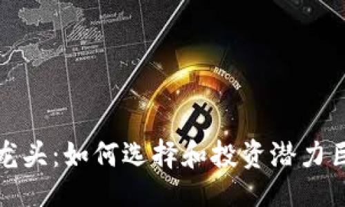 与关键词

加密货币股票龙头：如何选择和投资潜力巨大的加密资产