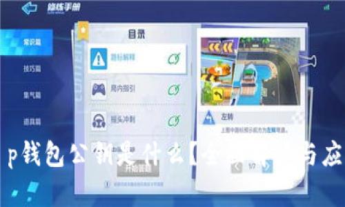 t p钱包公钥是什么？全面解读与应用