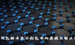 t p钱包提币显示打包中的