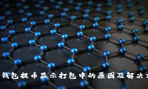 t p钱包提币显示打包中的原因及解决方法