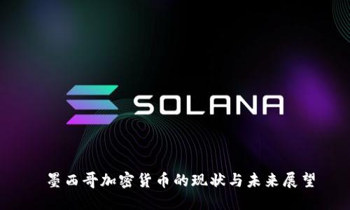  墨西哥加密货币的现状与未来展望