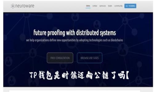  TP钱包是时候迈向公链了吗？