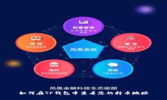 如何在TP钱包中查看您的持