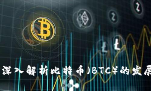 加密货币的未来：深入解析比特币（BTC）的发展趋势与投资机会