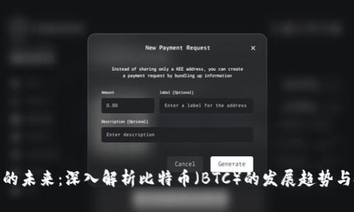 加密货币的未来：深入解析比特币（BTC）的发展趋势与投资机会