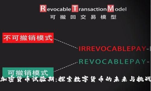 加密货币试验期：探索数字货币的未来与挑战