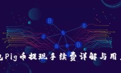 TP钱包Pig币提现手续费详解