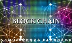   深入了解BIZ加密数字货币