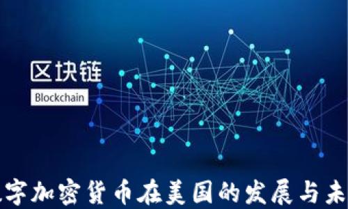 
数字加密货币在美国的发展与未来