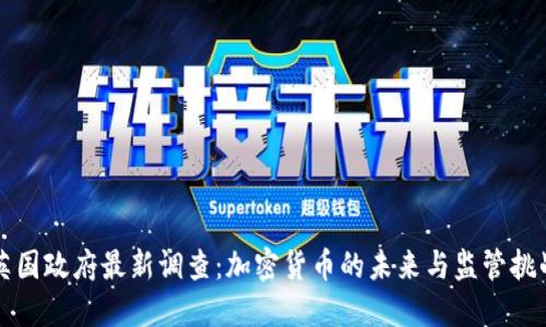 英国政府最新调查：加密货币的未来与监管挑战