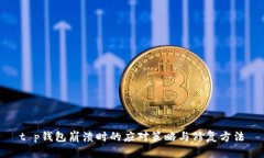 t p钱包崩溃时的应对策略