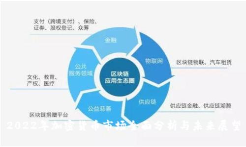 2022年加密货币市场全面分析与未来展望
