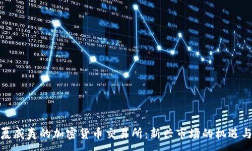 :
探索夏威夷的加密货币交易所：新兴市场的机遇与挑战