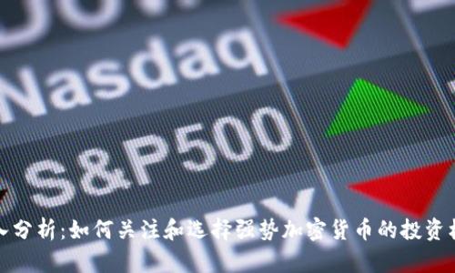 深入分析：如何关注和选择强势加密货币的投资机会