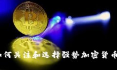 深入分析：如何关注和选