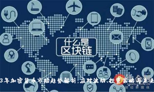 2023年加密货币市场趋势解析：应对波动、投资策略与未来展望