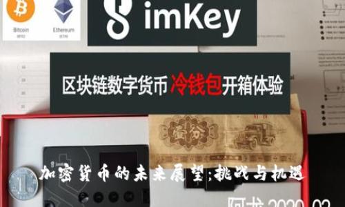 加密货币的未来展望：挑战与机遇