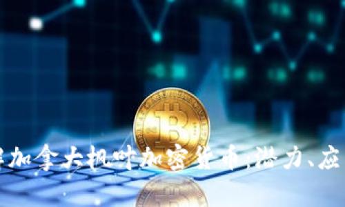 深入了解加拿大枫叶加密货币：潜力、应用与前景