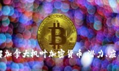 深入了解加拿大枫叶加密