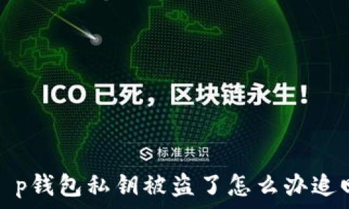   
t p钱包私钥被盗了怎么办追回