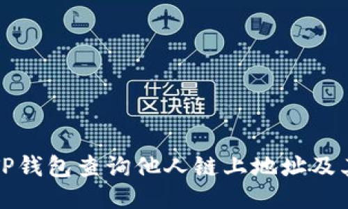 如何通过TP钱包查询他人链上地址及其相关信息