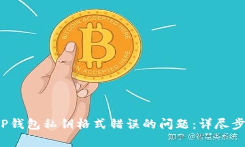 : 解决T P钱包私钥格式错误的问题：详尽步骤与解析