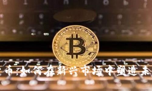 浪潮加密货币：如何在新兴市场中塑造未来金融格局