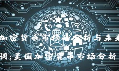 美国加密货币市场的分析与未来展望

关键词：美国加密货币市场分析