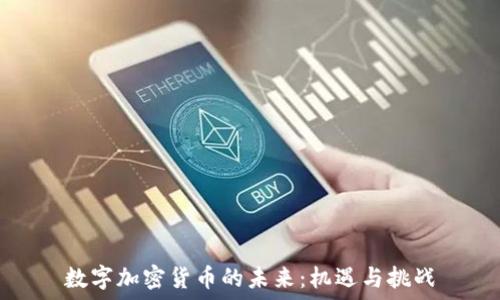  
数字加密货币的未来：机遇与挑战