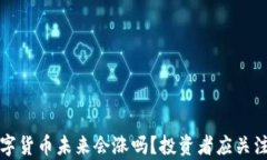 TP钱包中的数字货币未来会