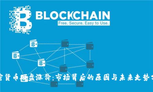 加密货币硬盘涨价：市场背后的原因与未来走势分析