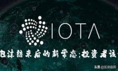 加密货币泡沫结束后的新