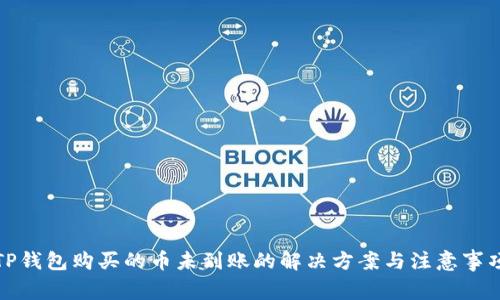 TP钱包购买的币未到账的解决方案与注意事项