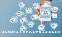 : 揭秘2023年最流行的加密