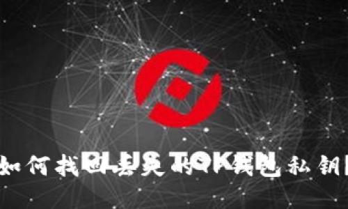 如何找回丢失的TP钱包私钥？