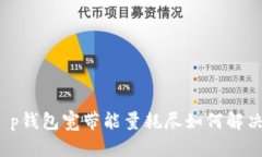 t p钱包宽带能量耗尽如何