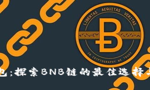 TP钱包：探索BNB链的最佳选择与应用