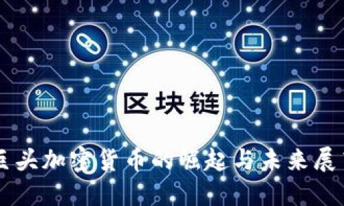 巨头加密货币的崛起与未来展望