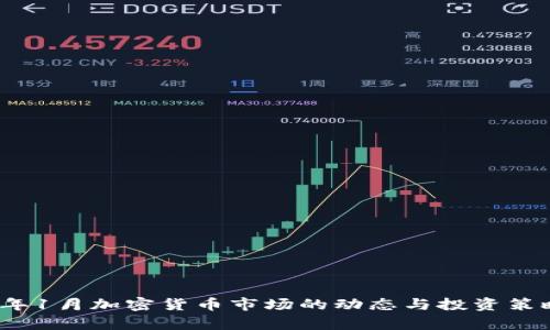 2023年1月加密货币市场的动态与投资策略解析