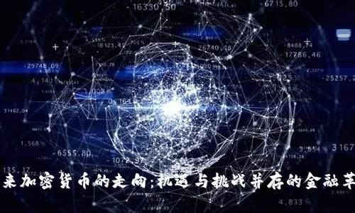 未来加密货币的走向：机遇与挑战并存的金融革新