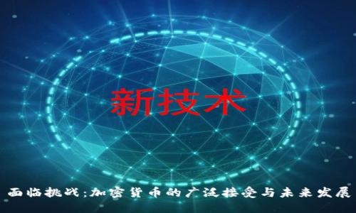 面临挑战：加密货币的广泛接受与未来发展