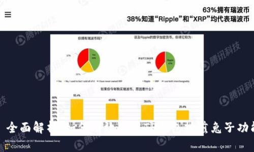 : 全面解析：如何有效使用TP钱包摊煎兔子功能