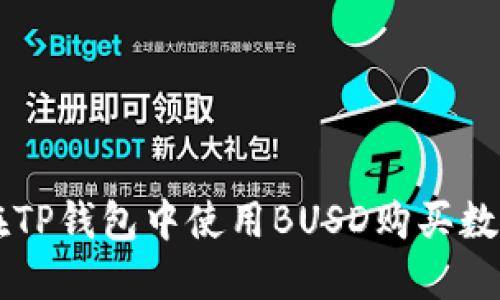 如何在TP钱包中使用BUSD购买数字货币