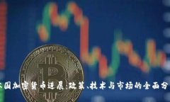 本国加密货币进展：政策、技术与市场的全面分