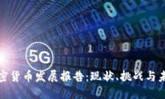 全球加密货币发展报告：