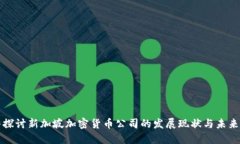 深入探讨新加坡加密货币