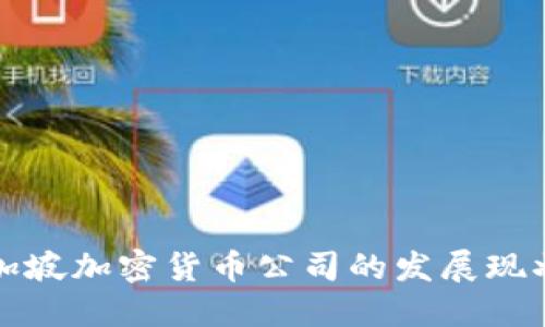 深入探讨新加坡加密货币公司的发展现状与未来趋势
