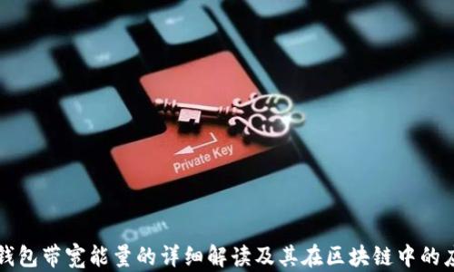 TP钱包带宽能量的详细解读及其在区块链中的应用