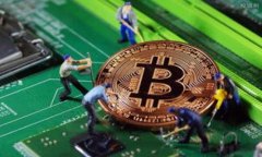 如何查询在交易所提取到